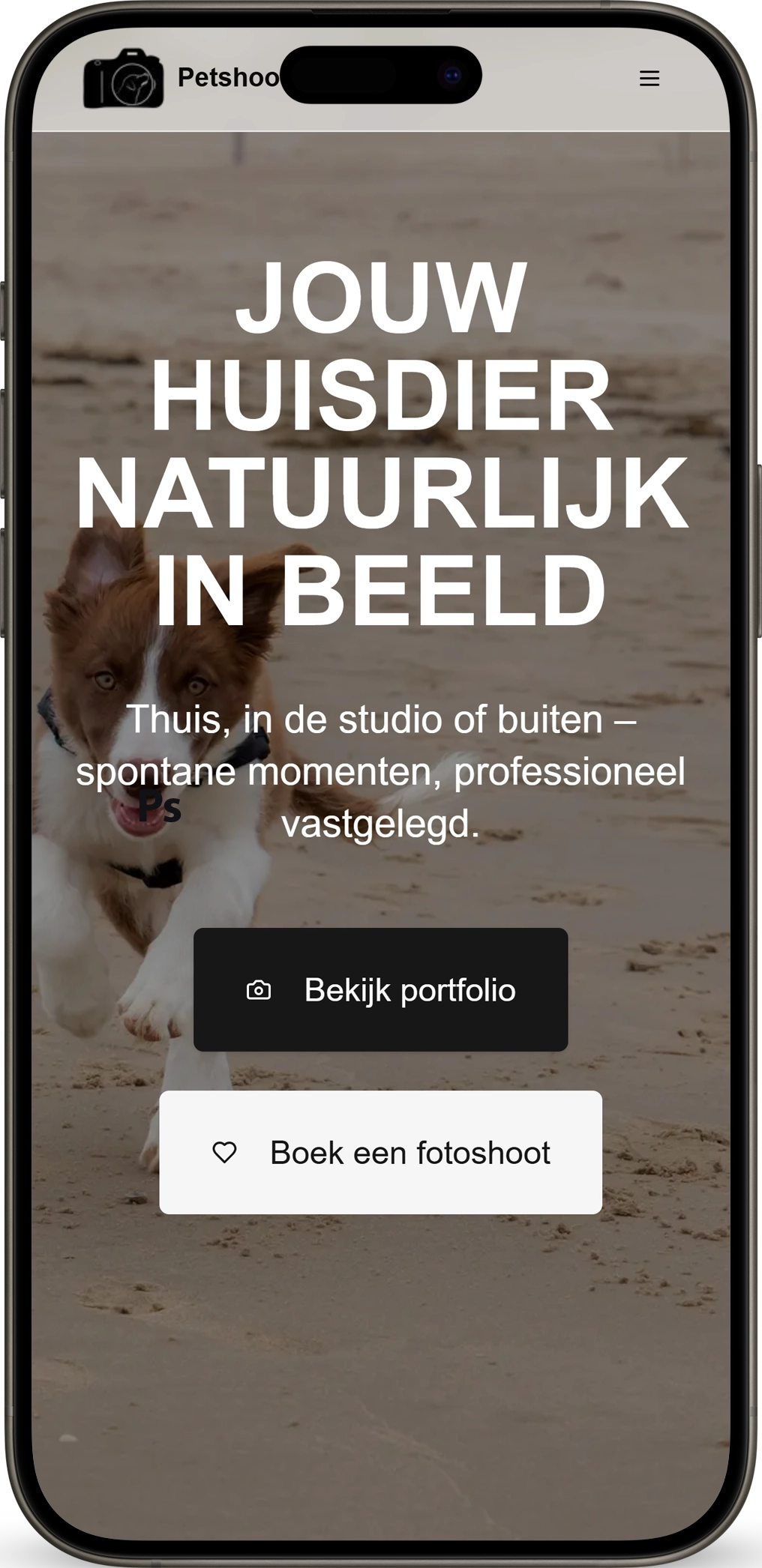 Mobile view of a user profile